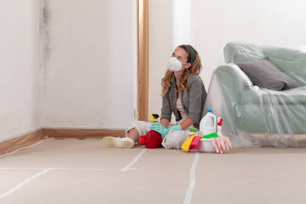 Trusted Black Mold Removal service in Bentonville, VA - Cheap Mold Removal